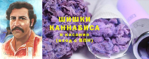 соль ск Арсеньев