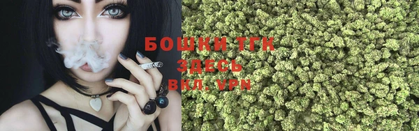 соль ск Арсеньев