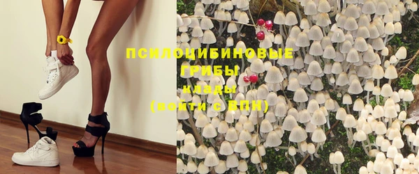 индика Дмитриев