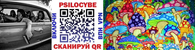 Галлюциногенные грибы Psilocybine cubensis  Прохладный 